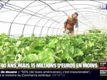 Replay Week-end première - Agriculture bio: pour ses 40 ans, le ministère de l'Agriculture annonce une baisse de 15 millions d'euros des subventions
