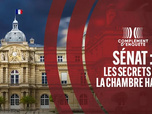 Replay Complément d'enquête - Sénat : les secrets de la chambre haute