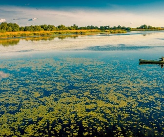 Replay Documentaire nature - Les trésors cachés du Danube