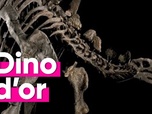 Replay Top Info - Combien vaut ce squelette de Stégosaure rarissime vendu en enchère ?