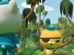 Replay Les Octonauts et les écrevisses des marécages