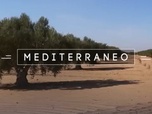 Replay Mediterraneo - L'or vert du désert en Tunisie