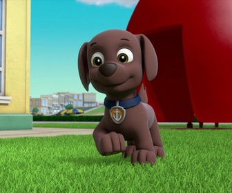 Replay Paw Patrol, la Pat'Patrouille - Madame Goodmoustache