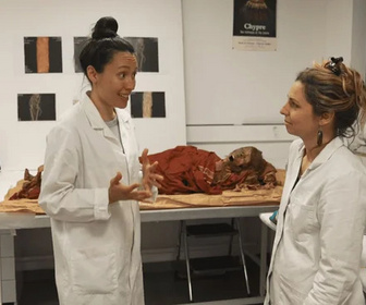 C'est toujours pas sorcier replay