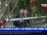 Replay BFM Première - Une concurrence déloyale : La riposte des producteurs français de tomates cerises