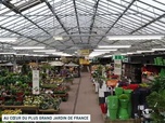 Replay Un jour, un doc - Au cœur du plus grand jardin de France