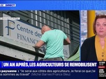 Replay Le Live Week-end - Un an après, les agriculteurs se remobilisent - 16/11