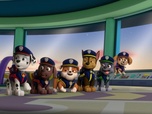 Replay Paw Patrol, la Pat'Patrouille - Sauvetage Extrême : Le retour du pirate