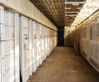 Replay Enquête prioritaire - S1E203 - Cellule des mineurs