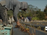 Replay Info éco - Le retour de America first : énergie, tarifs douaniers, expulsion de migrants