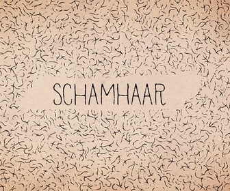 Replay Karambolage - Schamhaar