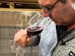 Replay TANGUY DE BFM - Du vin de Bordeaux vendu à moins de 2 euros en grande surface, les vignerons furieux