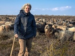 Replay L'île de Sylt, la reine de la mer du Nord