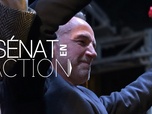 Replay Sénat en action - Bataille de Paris : scènes de campagne
