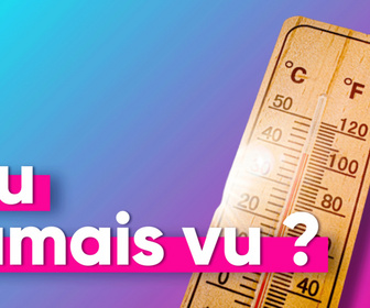 Replay Top Info - A-t-on déjà vécu une canicule aussi précoce et intense ?