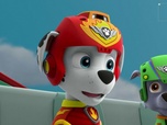 Replay Paw Patrol, la Pat'Patrouille - Le défilé de ballons géants
