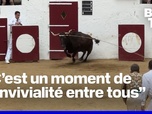 Replay ROBIN DE BFM - Dans les Landes, la nouvelle génération perpétue la tradition des fêtes de villages
