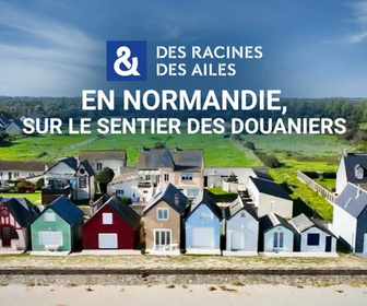 Replay Des Racines et Des Ailes