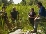 Replay Le mystère d'Oak Island : la course au trésor - S10E16 - Puits-tu le croire ?