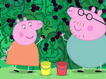 Replay Peppa Pig
