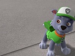 Replay Paw Patrol, la Pat'Patrouille - La grosse fuite