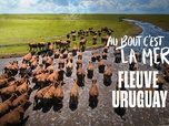 Replay Au bout c'est la mer - 19/08/2026