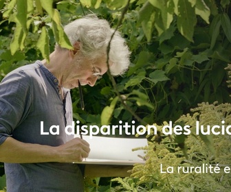 Replay La France en vrai - Grand Est - La disparition des lucioles. Une nature redessinée