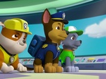 Replay Paw Patrol, la Pat'Patrouille - Le jour des élections
