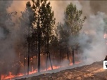 Replay Élément Terre, la quotidienne - Incendies en Espagne : une année noire pour le pays