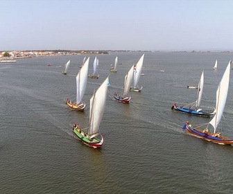 Replay Portugal, les régates de Moliceiros - 360° Reportage