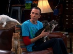 Replay The Big Bang Theory - S4E3 - Un amour de substitution