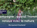 Replay La France en Vrai - Bretagne