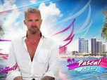 Replay Les anges de la téléréalité - S11 E38
