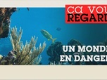Replay Ça vous regarde - Sommet des océans à Nice : quelles avancées ?