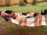 Replay Rex, chien flic - 10/08/2026