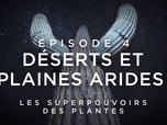 Replay Les superpouvoirs des plantes - S1 E4 - Déserts et plaines arides