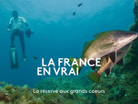 Replay La France en vrai - La réserve aux grands coeurs