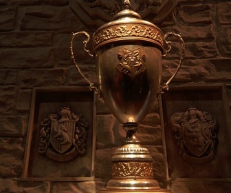 Replay Harry Potter : Le Tournoi des quatre maisons - La Grande finale