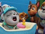Replay Paw Patrol, la Pat'Patrouille - Le robot-canard géant