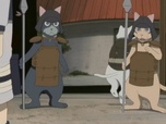 Replay Naruto Shippuden - S8 E10 - Histoire du passé de Konoha : Sasuke et l'Encyclopédie des pattes