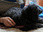 Replay Chiens et chats sans collier