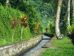 Replay Les gardiens de l'eau - Bali, l'eau des dieux
