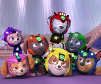 Replay Paw Patrol, la Pat'Patrouille - L'Aqua Patrouille : Le vol de la Baleine Patrouilleuse