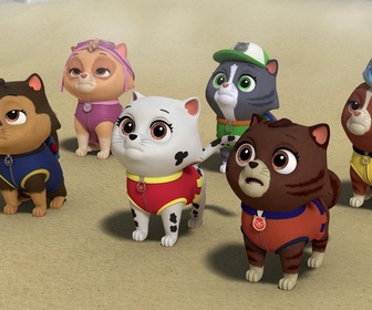 Replay Paw Patrol, la Pat'Patrouille - Les drones de M. Hellinger