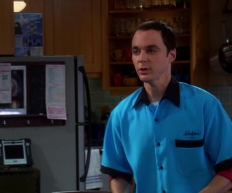 Replay The Big Bang Theory - S2E11 - Les cadeaux de Noël