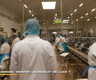 Replay 66 minutes - Permis de conduire : pourquoi coûte-t-il si cher ? / Sardines : bientôt un produit de luxe ? / Cauchemar au camping : où sont passés les bungalows ? / Bonne paye et liberté : et si vous deveniez routiers ?