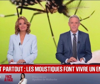 Replay BFM Première - Chaleur: les moustiques sont toujours là