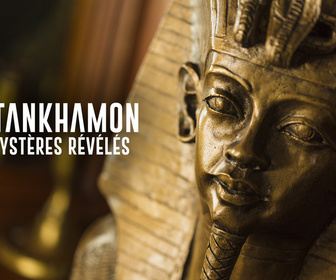 Replay Toutankhamon, les mystères révélés