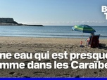 Replay ROBIN DE BFM - Nouveau record de chaleur pour la mer Méditerranée