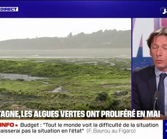 Replay 20H BFM - Bretagne: les algues vertes ont proliféré en mai